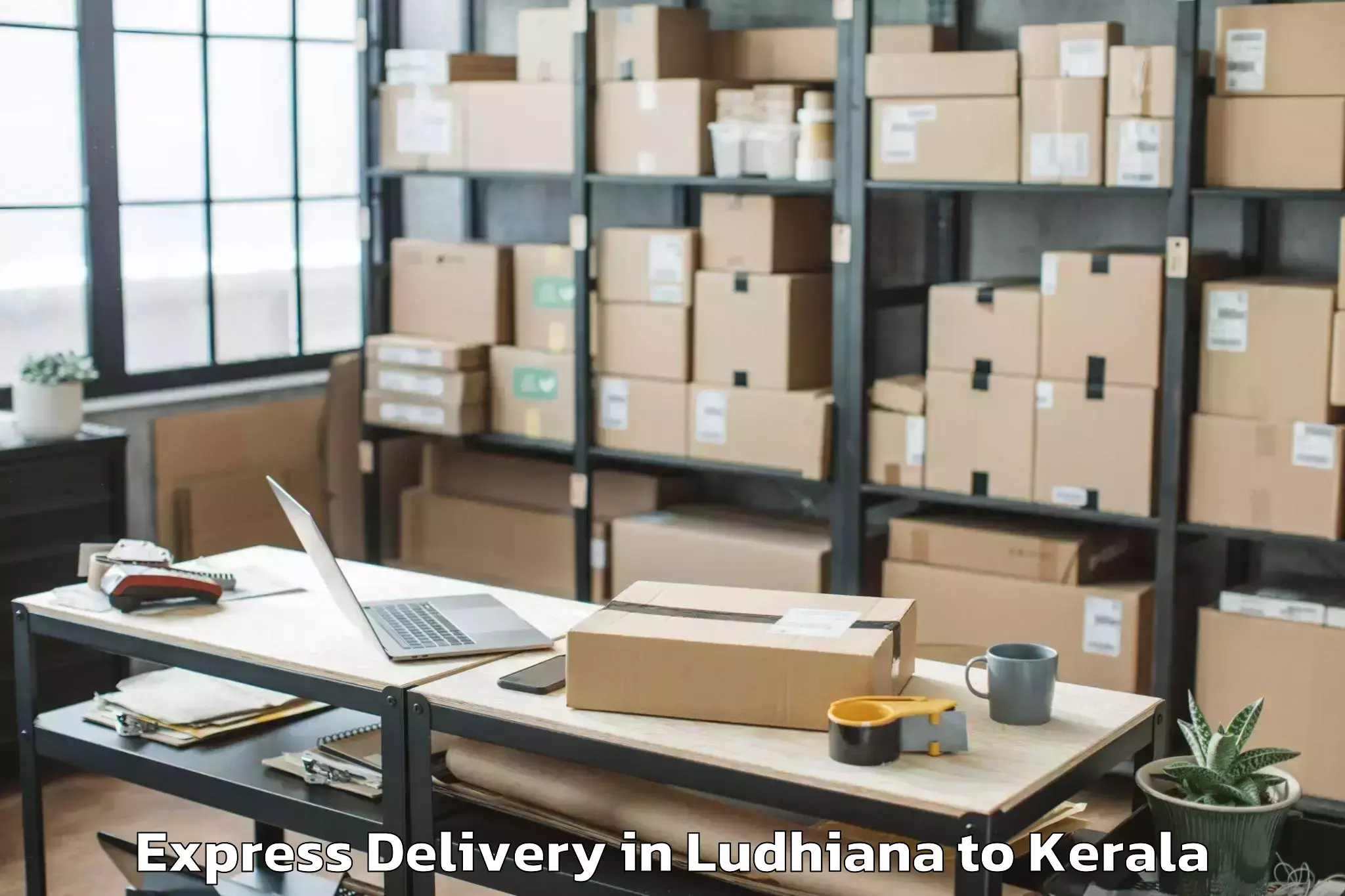 Top Ludhiana to Y Mall Thriprayar Express Delivery Available